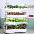 Abundant Solutions Aero-Grow Pro Smart Indoor Hydroponic Garden Kit